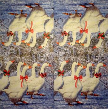 074 Enten - 3-lagig - Ambiente